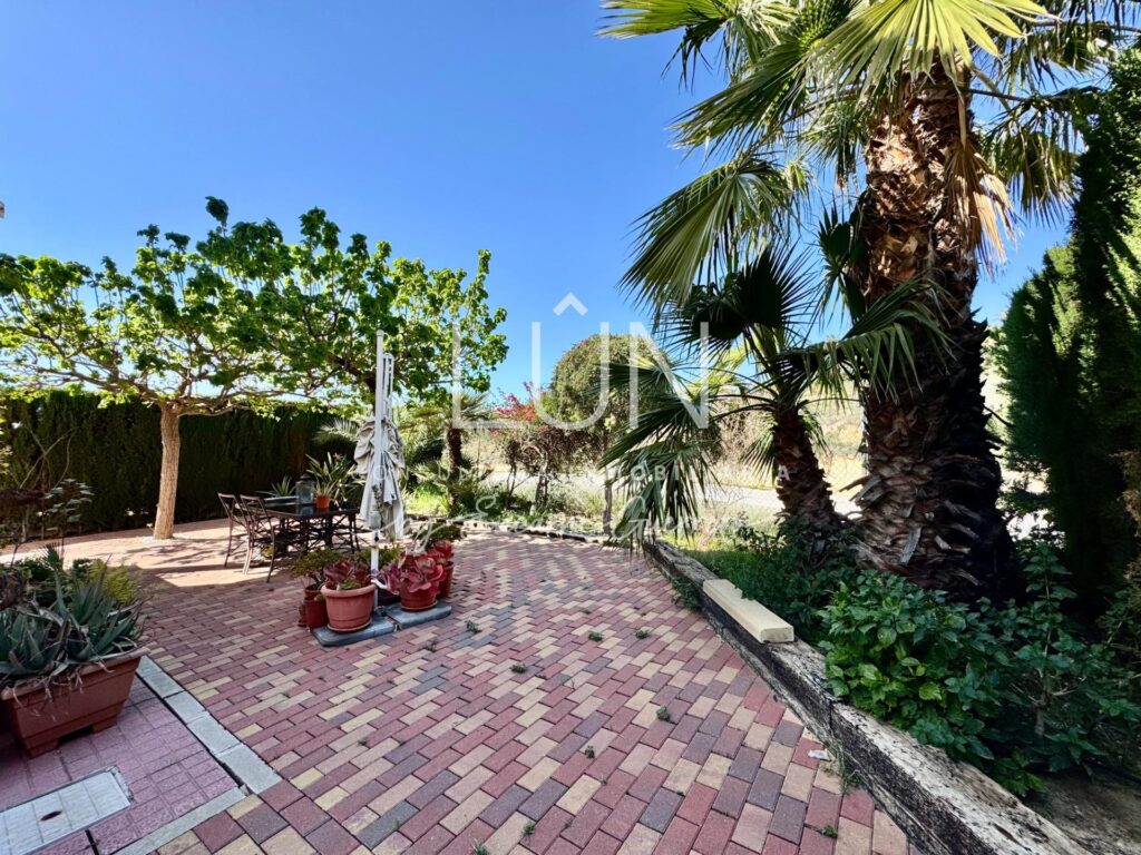 foto42