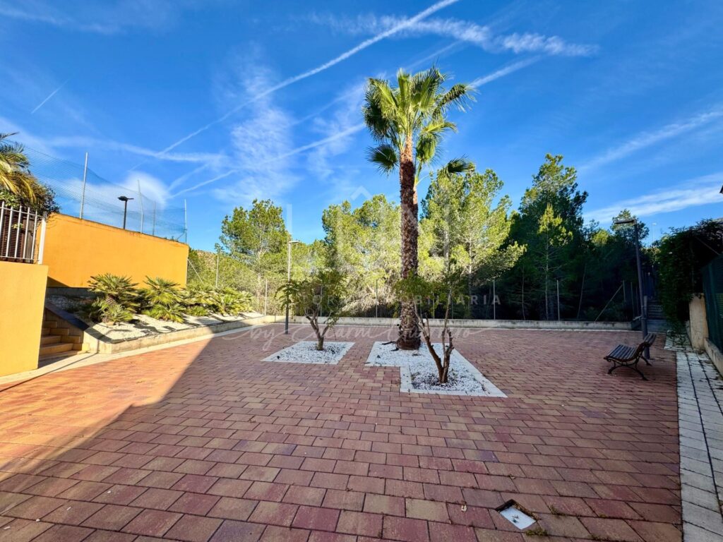 foto49